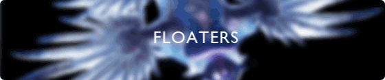 Floaters
